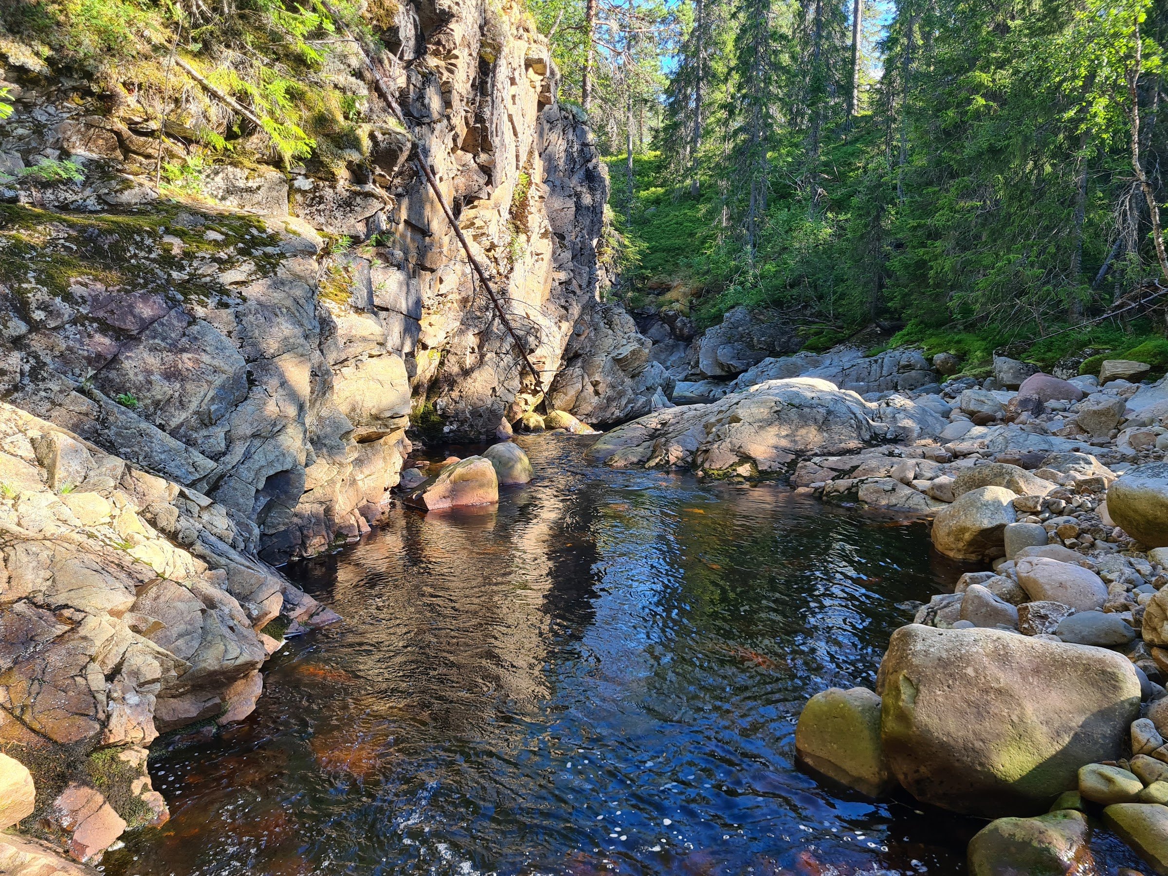 Korpreiret canyon (Korpreiret) — Løten / Elverum